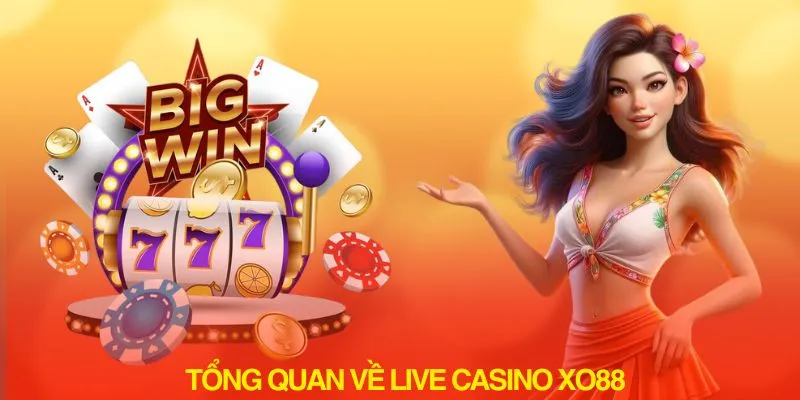 tổng quan về live casino xo88